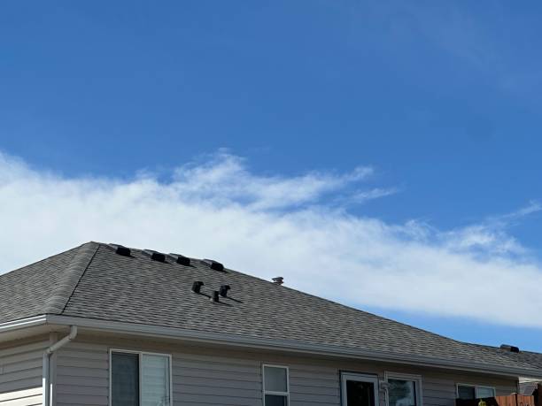 Best Roof Leak Repair  in Dimmitt, TX